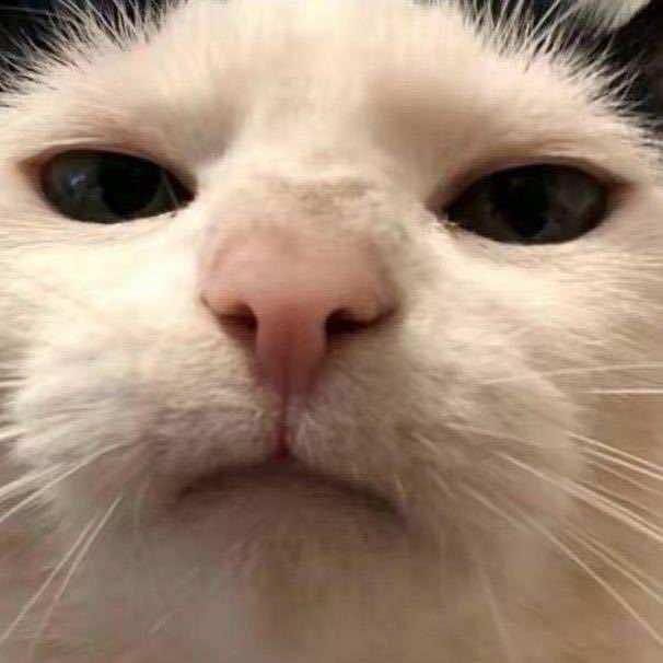 重庆烫发专家～阿超