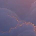 空韦会--直播号