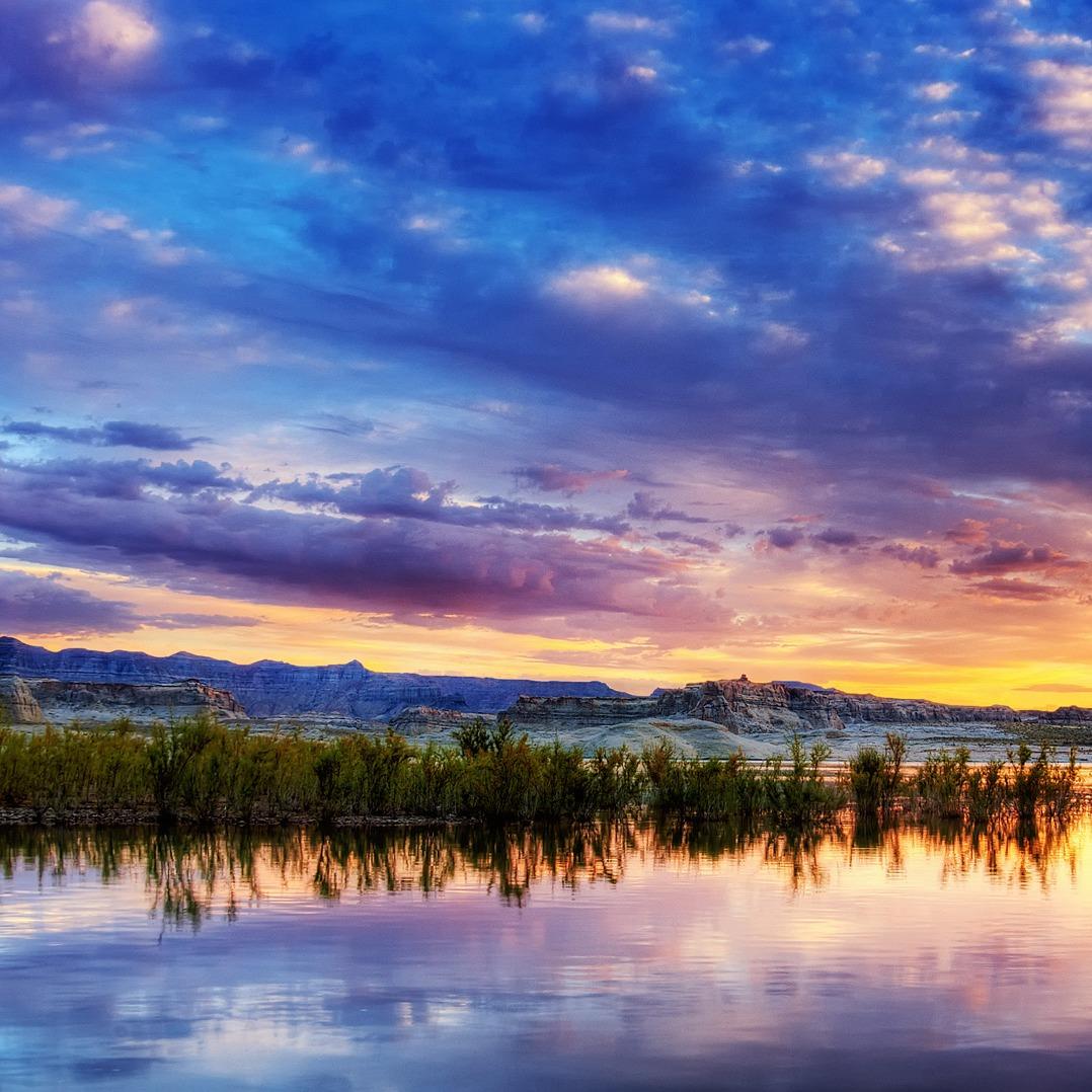 广州翠源商贸有限公司直播号