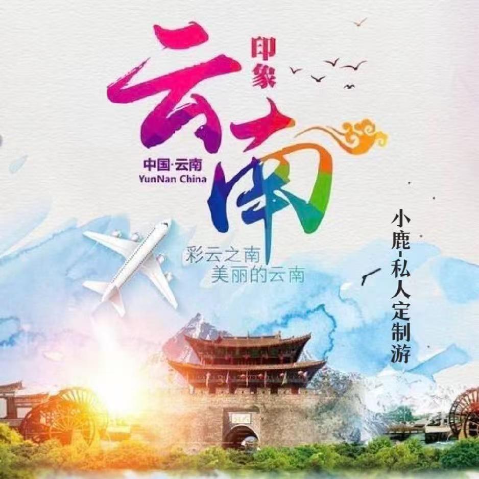 云南色彩国际旅行社（小鹿）