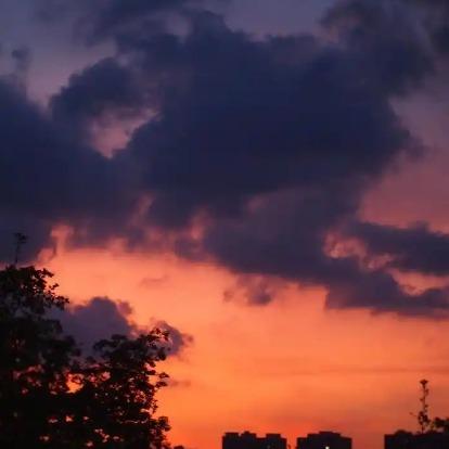 哈哈啦哟的直播号