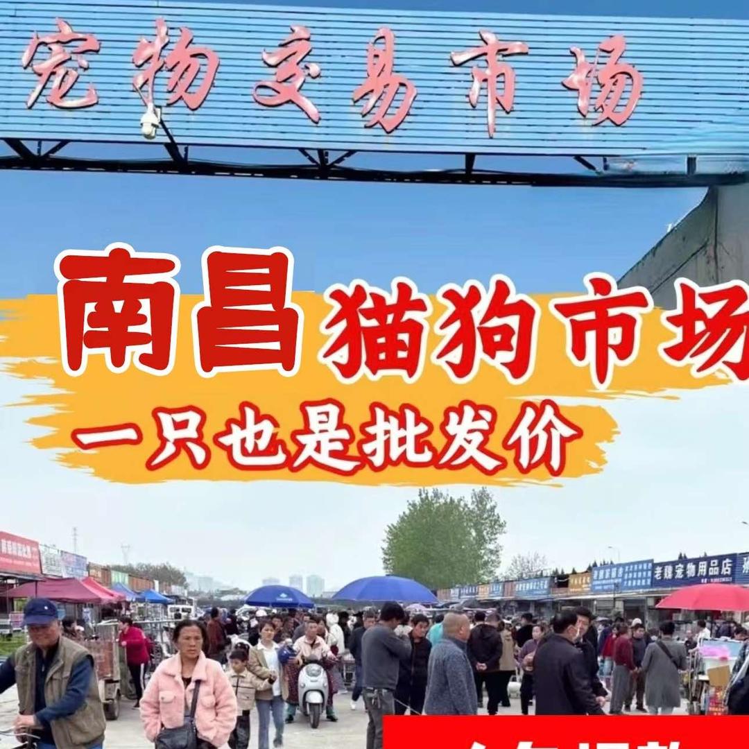 南昌青云谱区朋来缘宠物基地