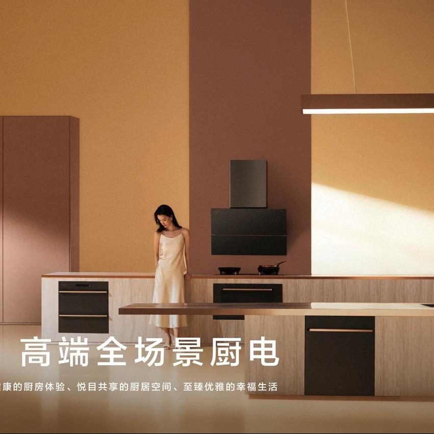 小方小太，这是什么油烟机