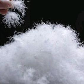 李黄布艺（羽绒，羽绒被壳厂家直销）