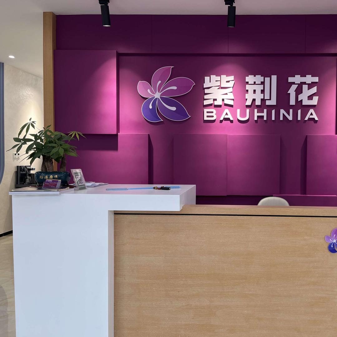 寿光紫荆花全彩涂装馆
