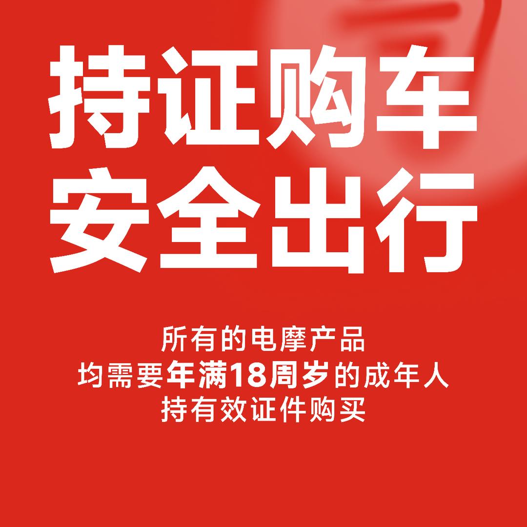 九号电动车凤凰城专用号