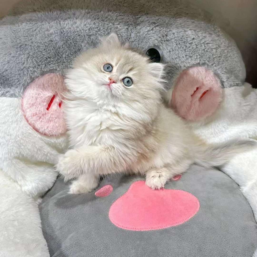 明恩