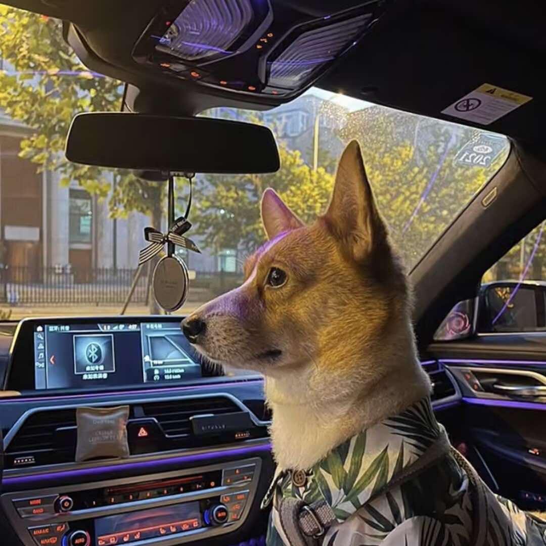 赫章魔指逸境足浴会所