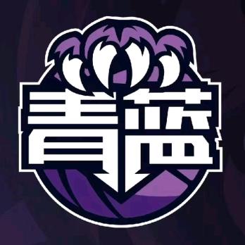青蓝青训