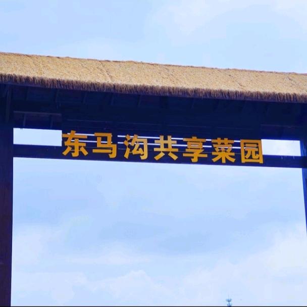 东马沟共享菜园