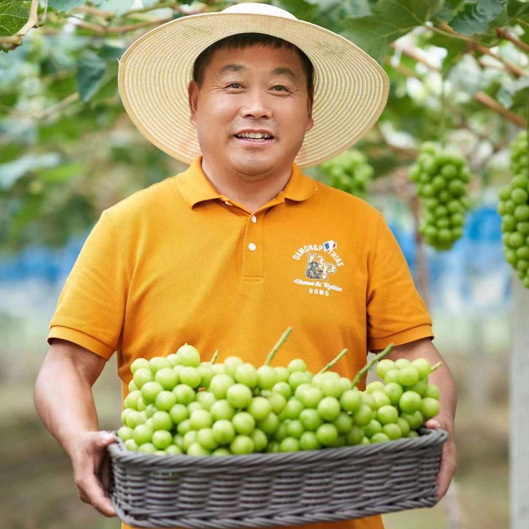 鑫农人阳光玫瑰葡萄庄园（采摘批发）
