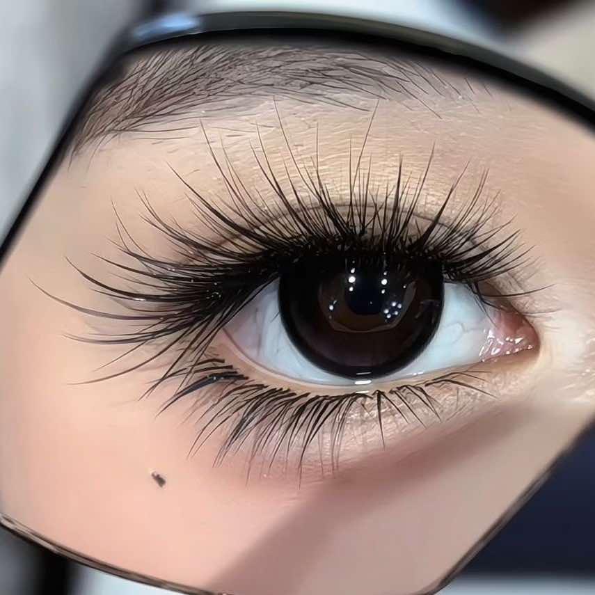 中式美睫（原生眉舍培训）