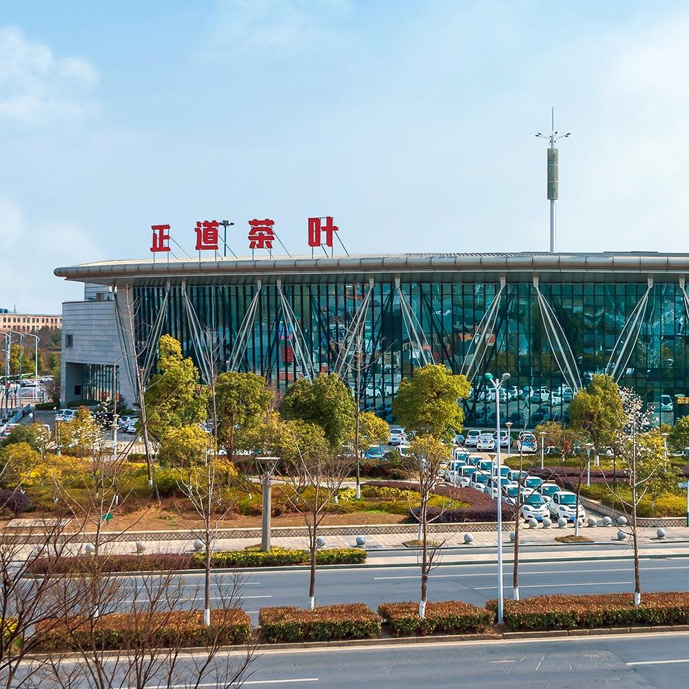 正道茶选团队
