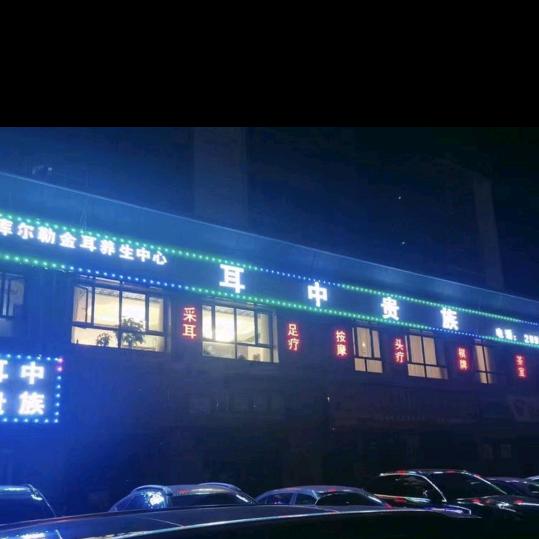 耳中贵族官方号