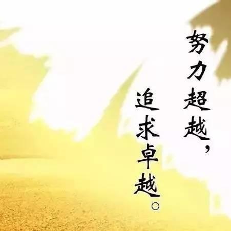 深圳市中轹实业有限公司东湖分公司宠粉