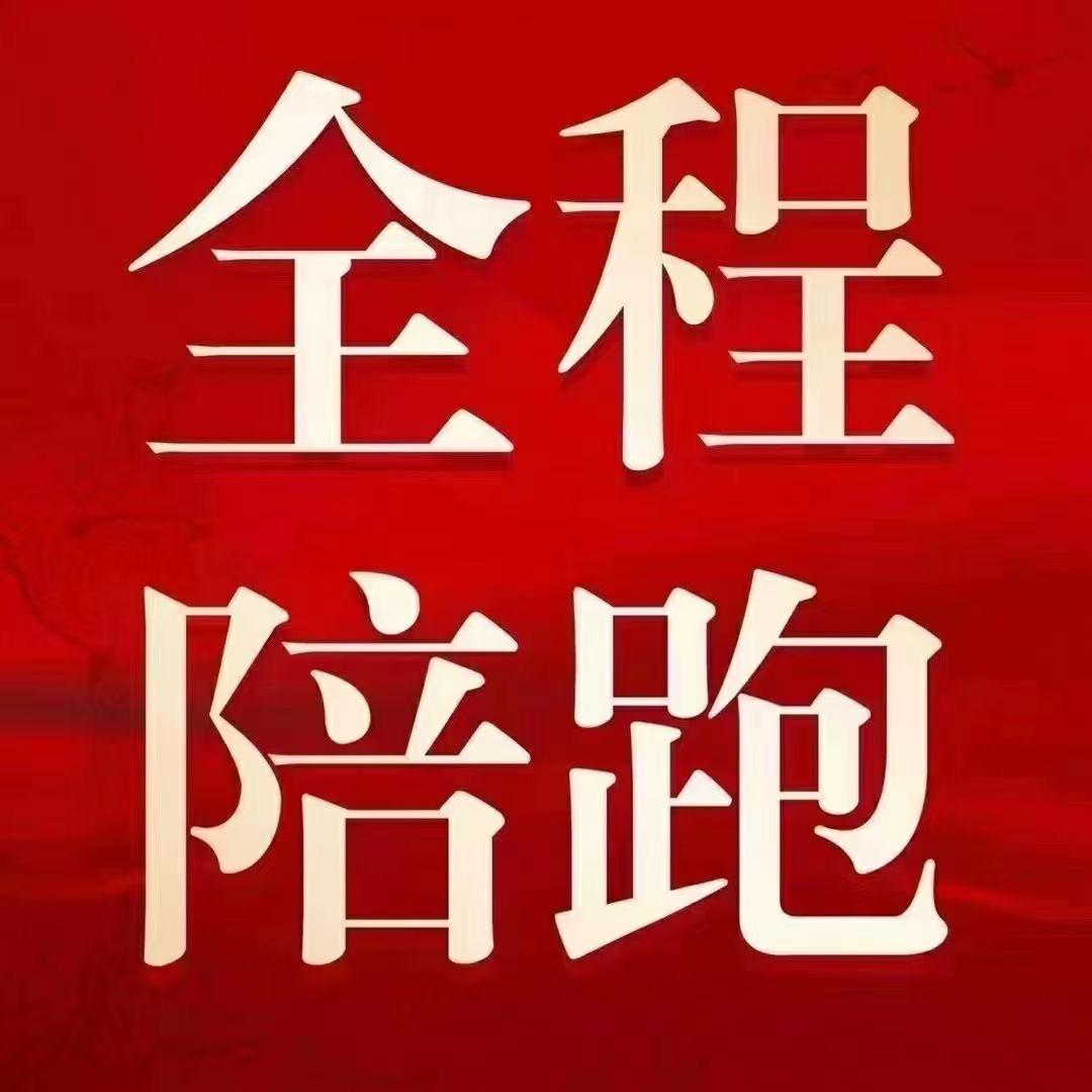 速宁嘉出海玩家