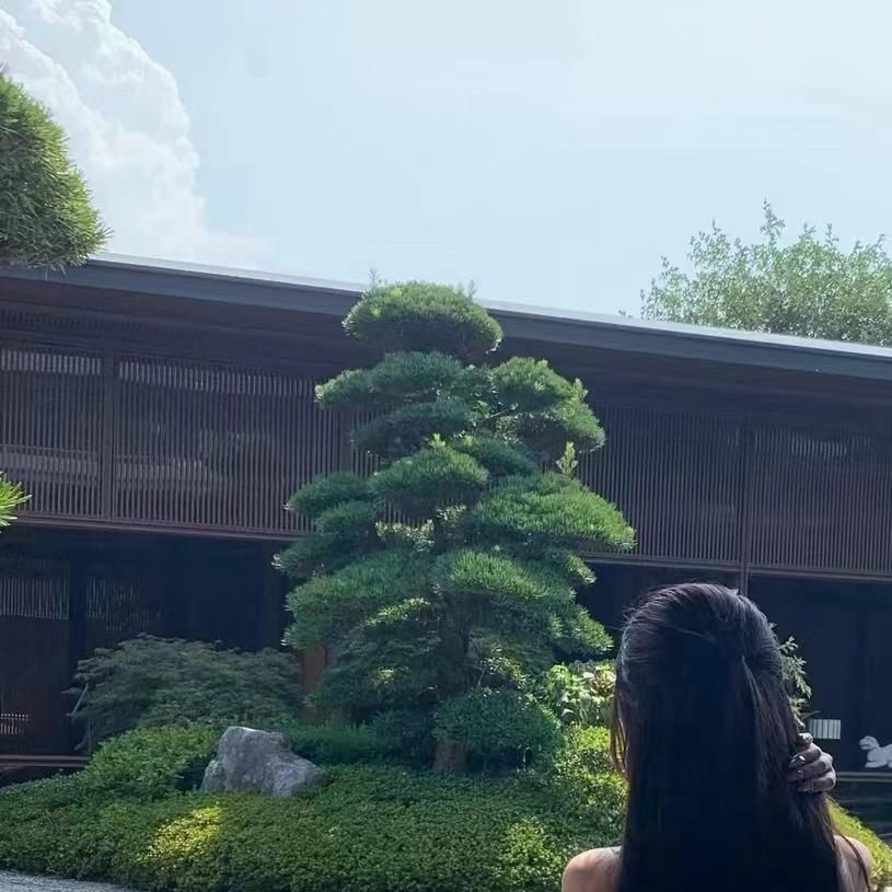 相濑啾啾直播号