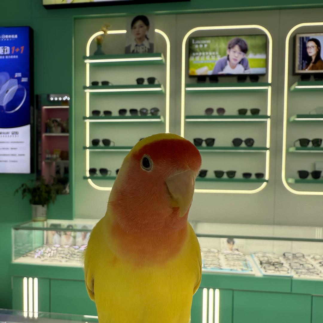 博视眼镜（视光）