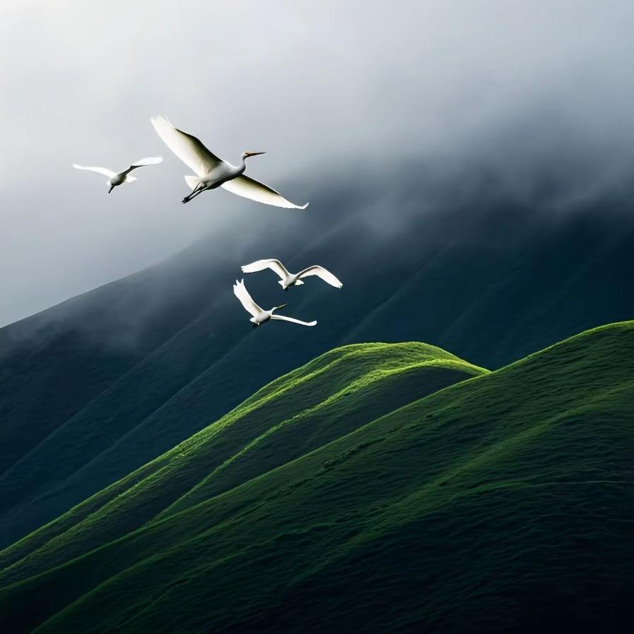 空明方主-纳铁欧