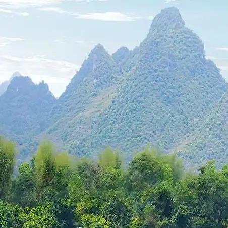 丁丁二水直播号