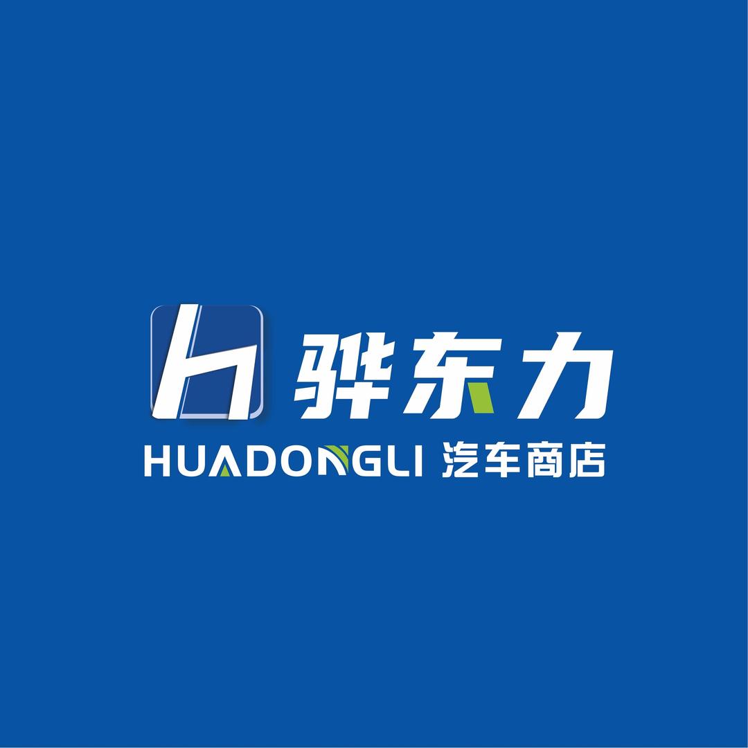 骅东力汽车商店