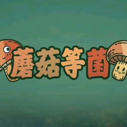 蘑菇等菌·云南特色菜(官渡古镇店）