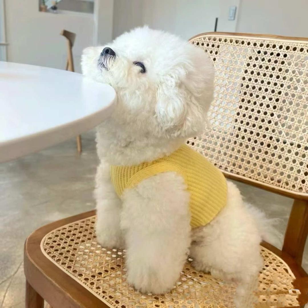 百万萌宠(景澜店)