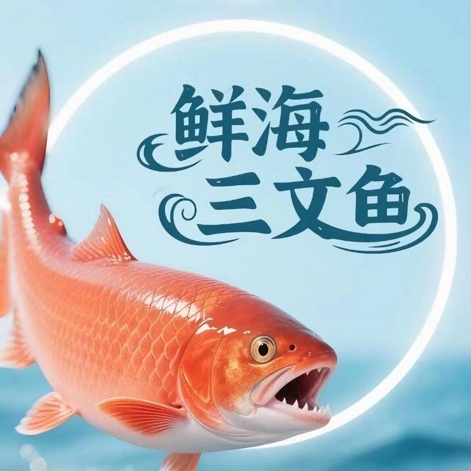 鲜海三文鱼(万载店)