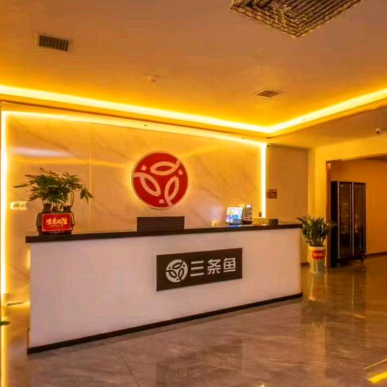 三条鱼·情景·SPA