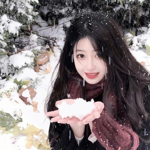 真旺果果轻松用