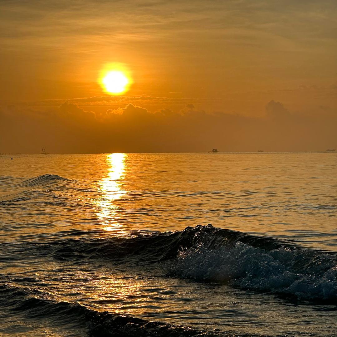 广州睿骁plijtfrzhi直播号