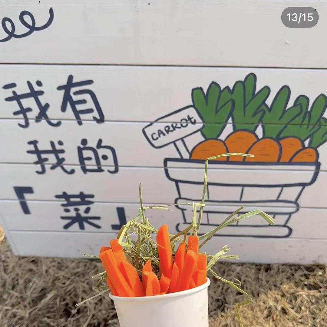 阿莎姨蘑菇农场