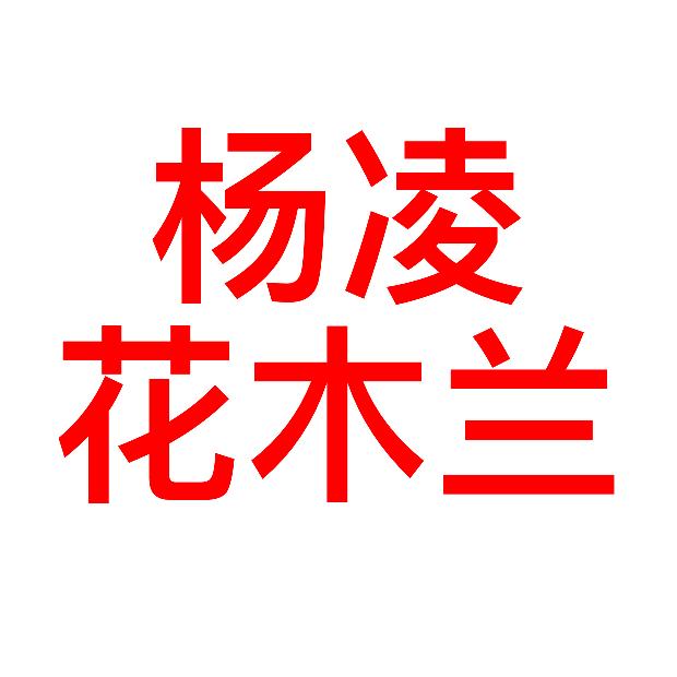 杨凌酷泽美甲店（杨凌花木兰说媒包成功）