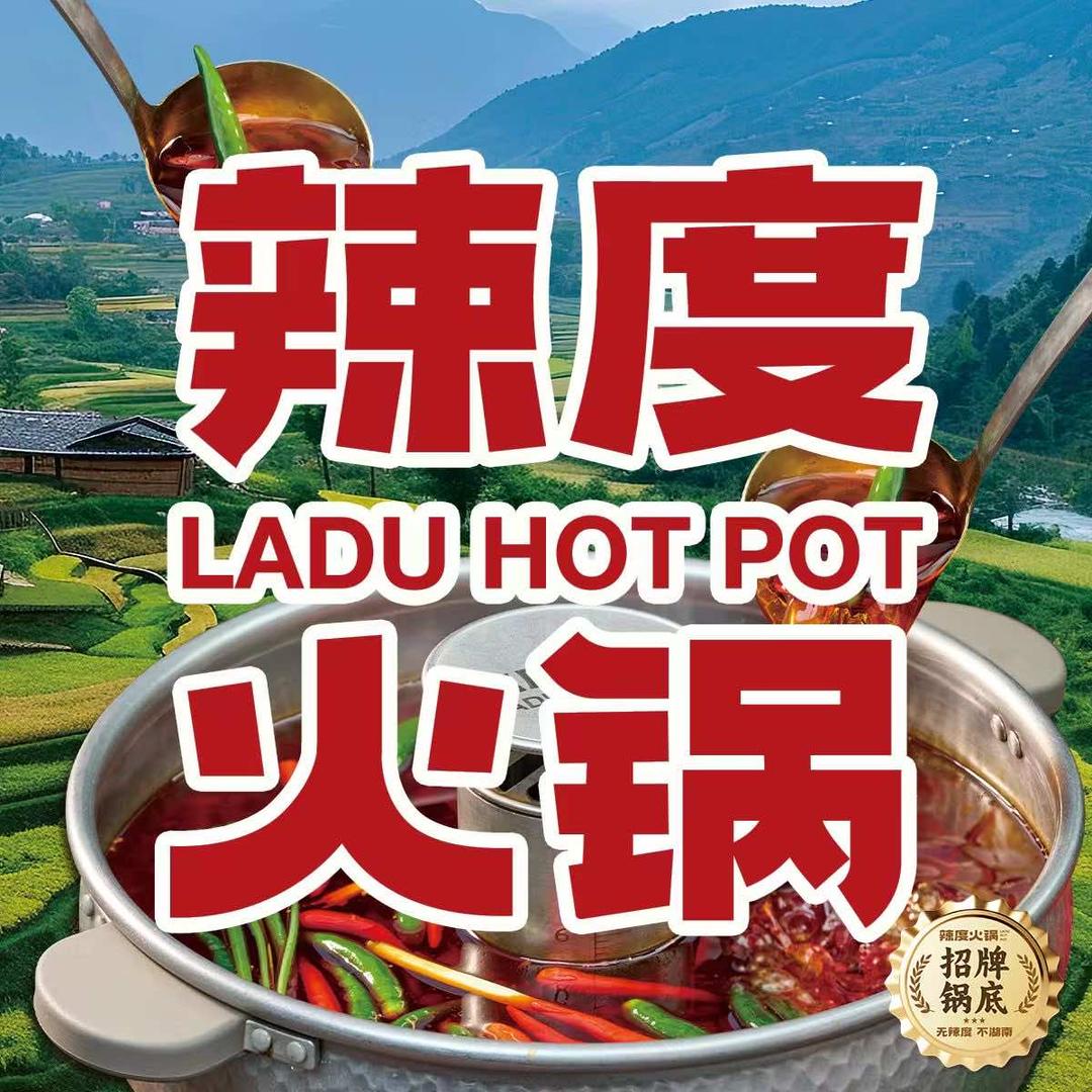 辣度火锅（桃江店）