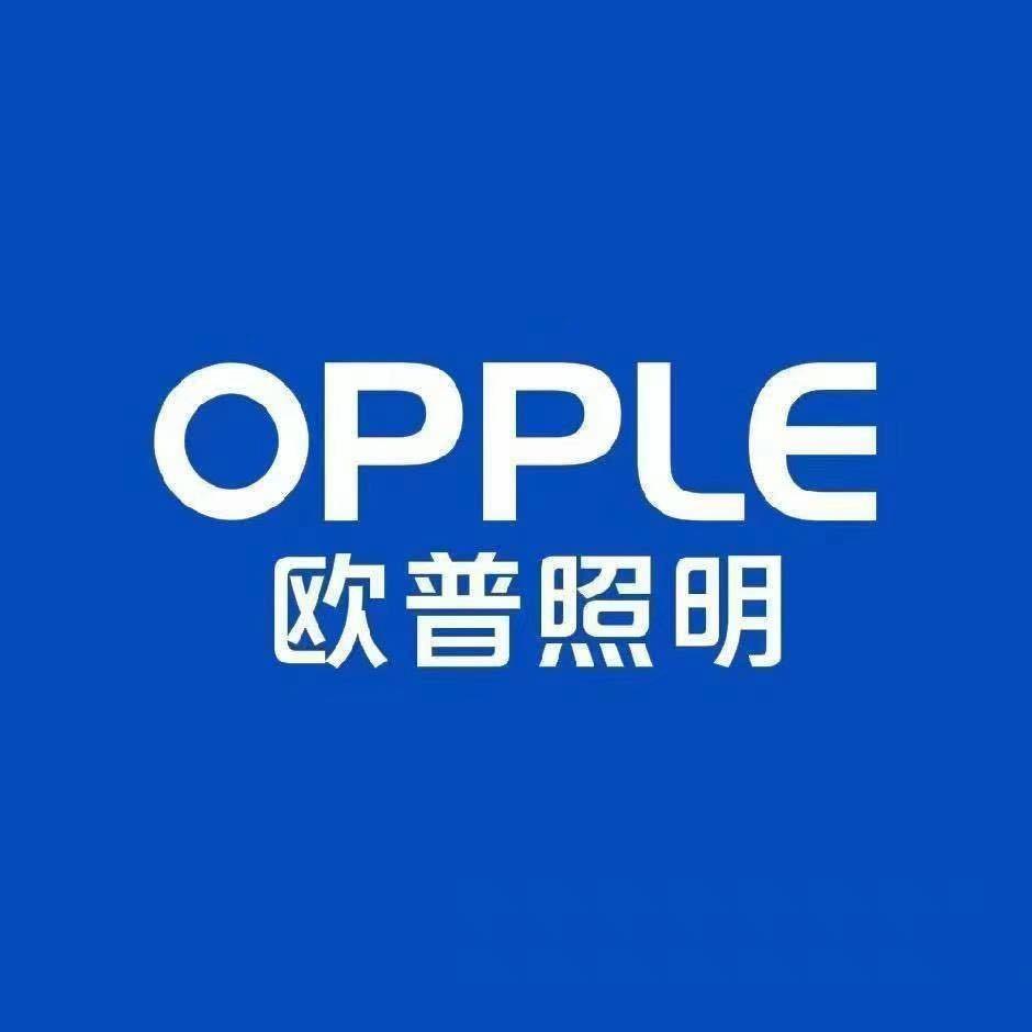 欧普照明菏泽云峰旗舰店