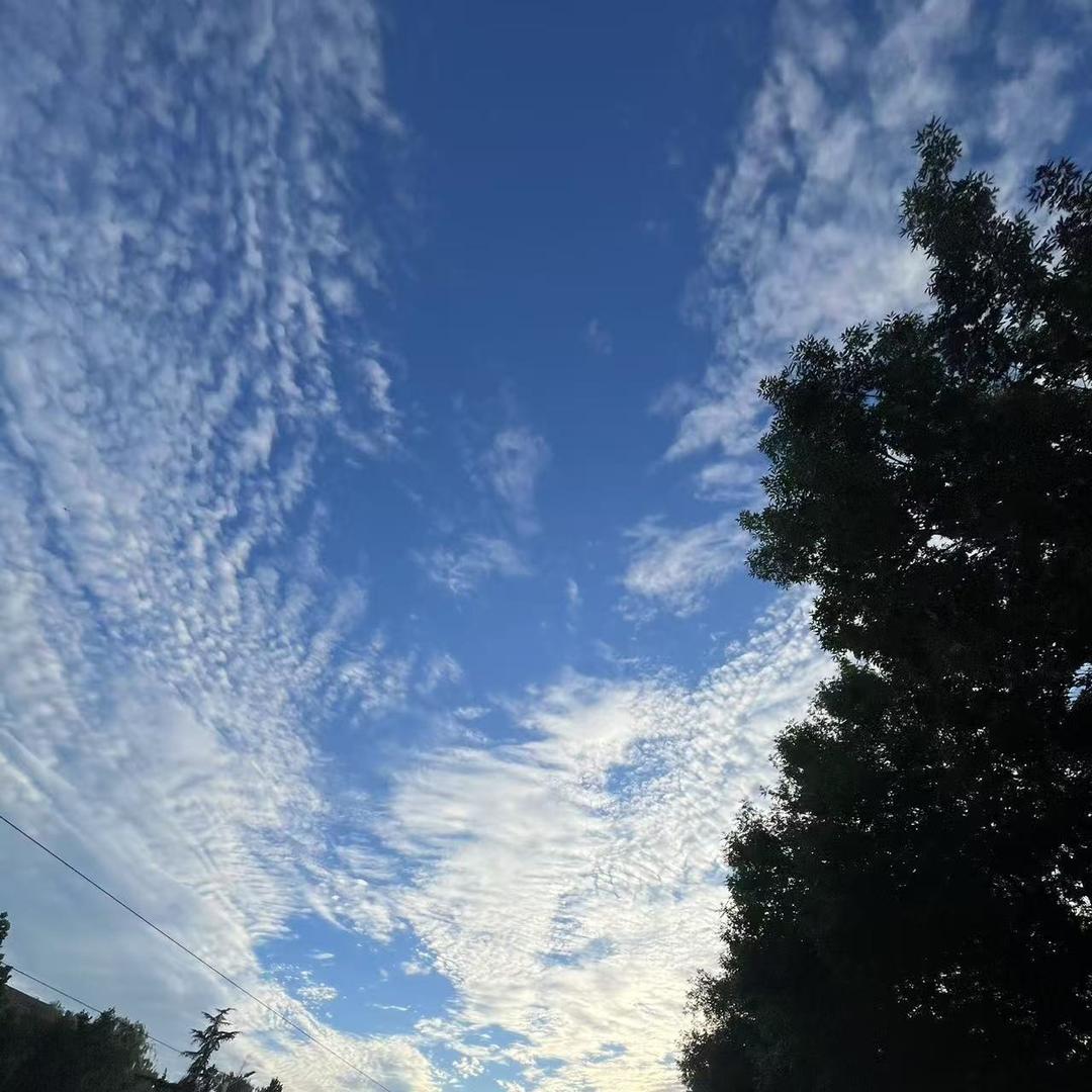 瑶晨旭直播2号