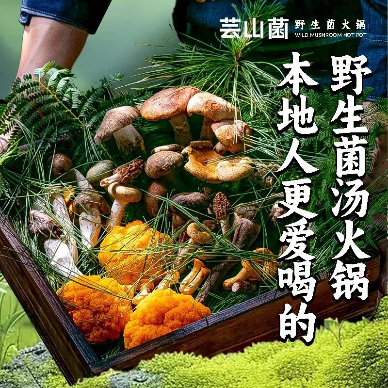 芸山菌·云南野生菌火锅