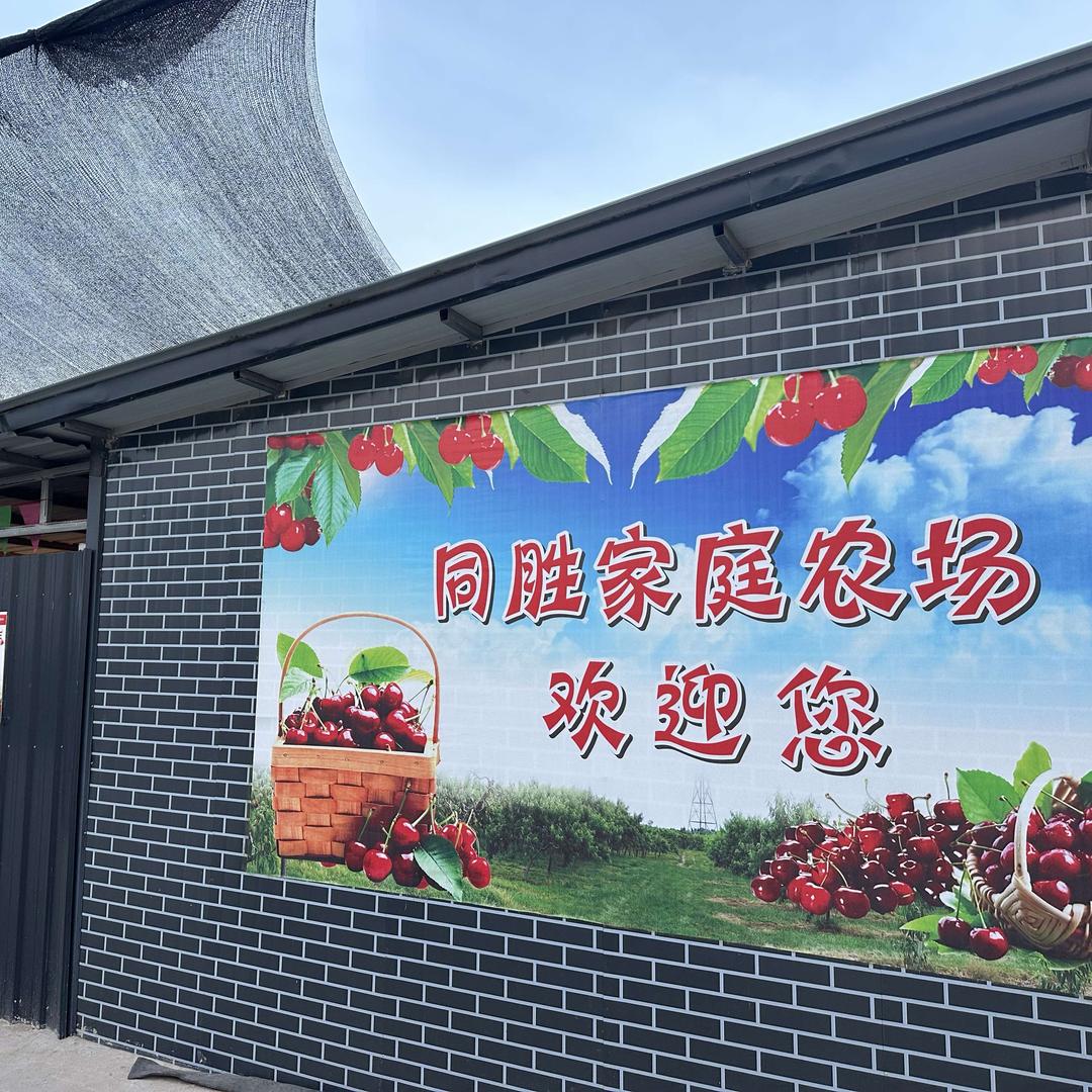 咸阳同胜樱桃采摘园
