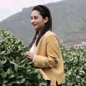 菲儿茶庄官方号