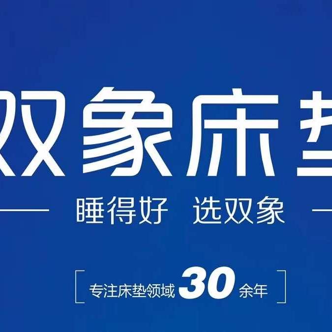 双象智能床垫