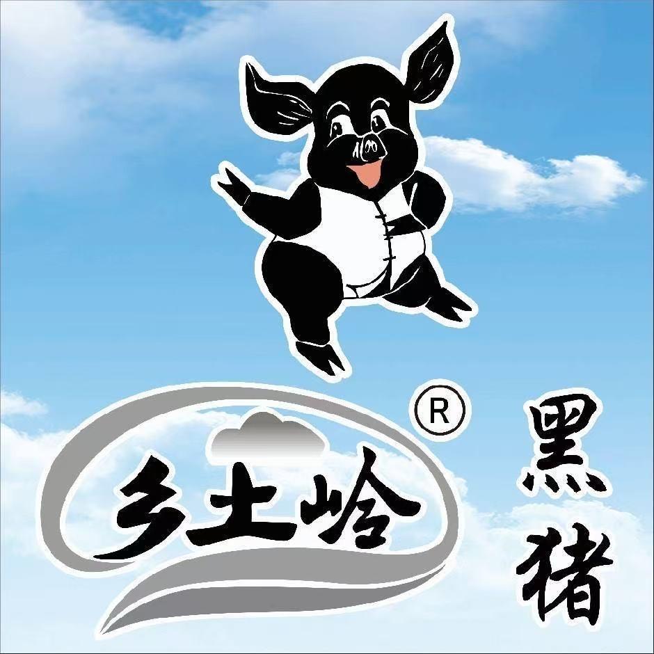 云南乡土岭黑猪