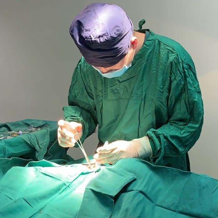 北戴河康康宠物医院