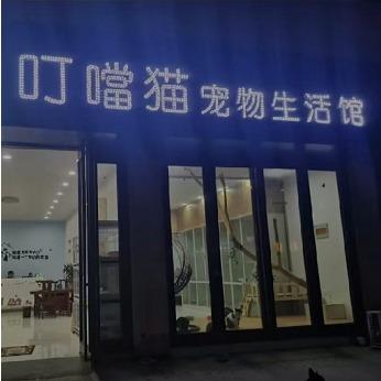 叮当猫宠物生活馆 官方号