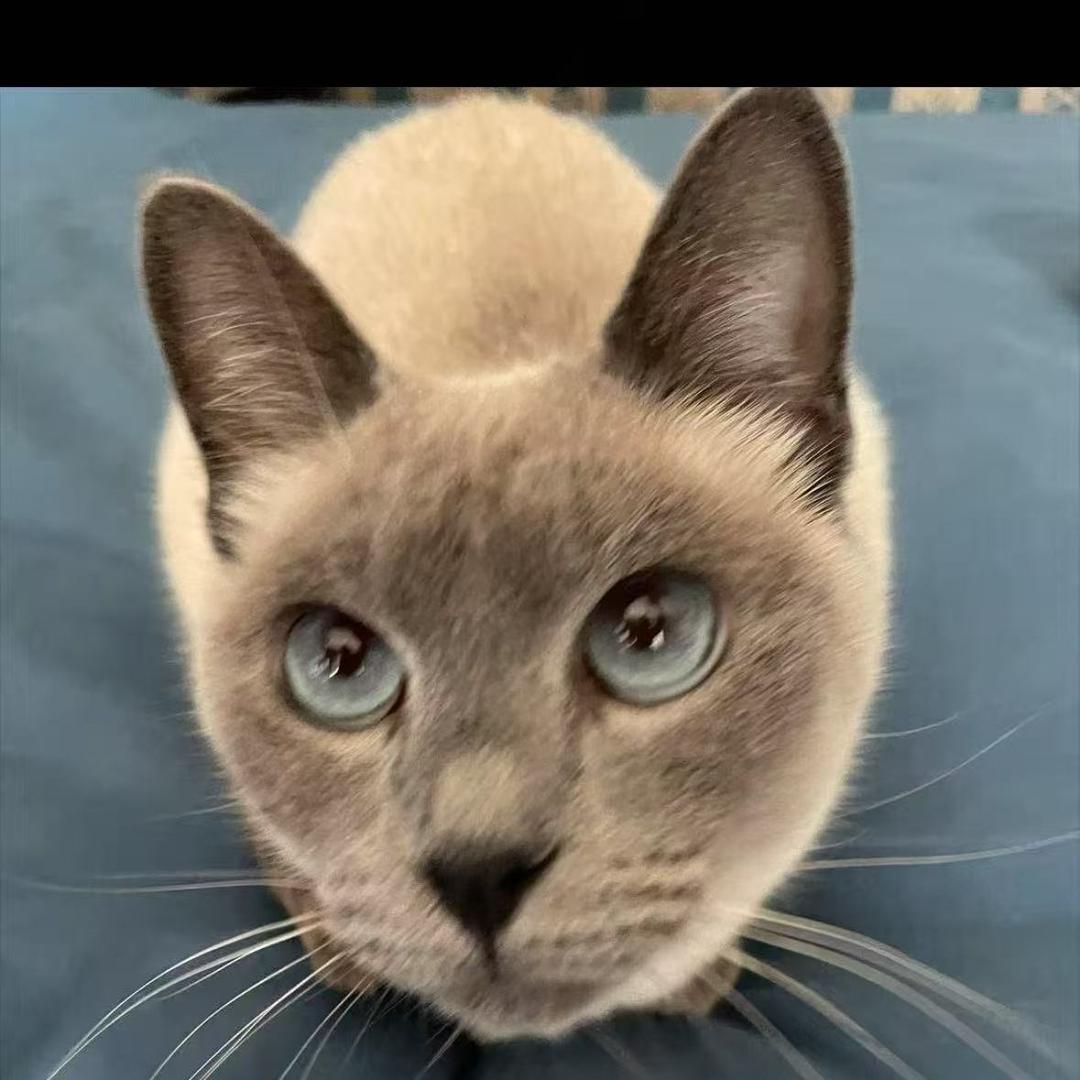 唯唯开心直播号