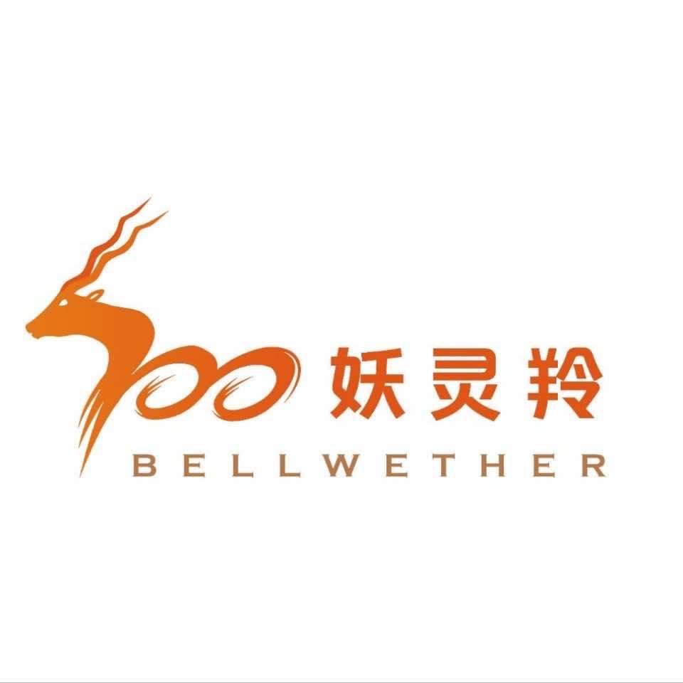 西安妖灵羚艺术培训学校