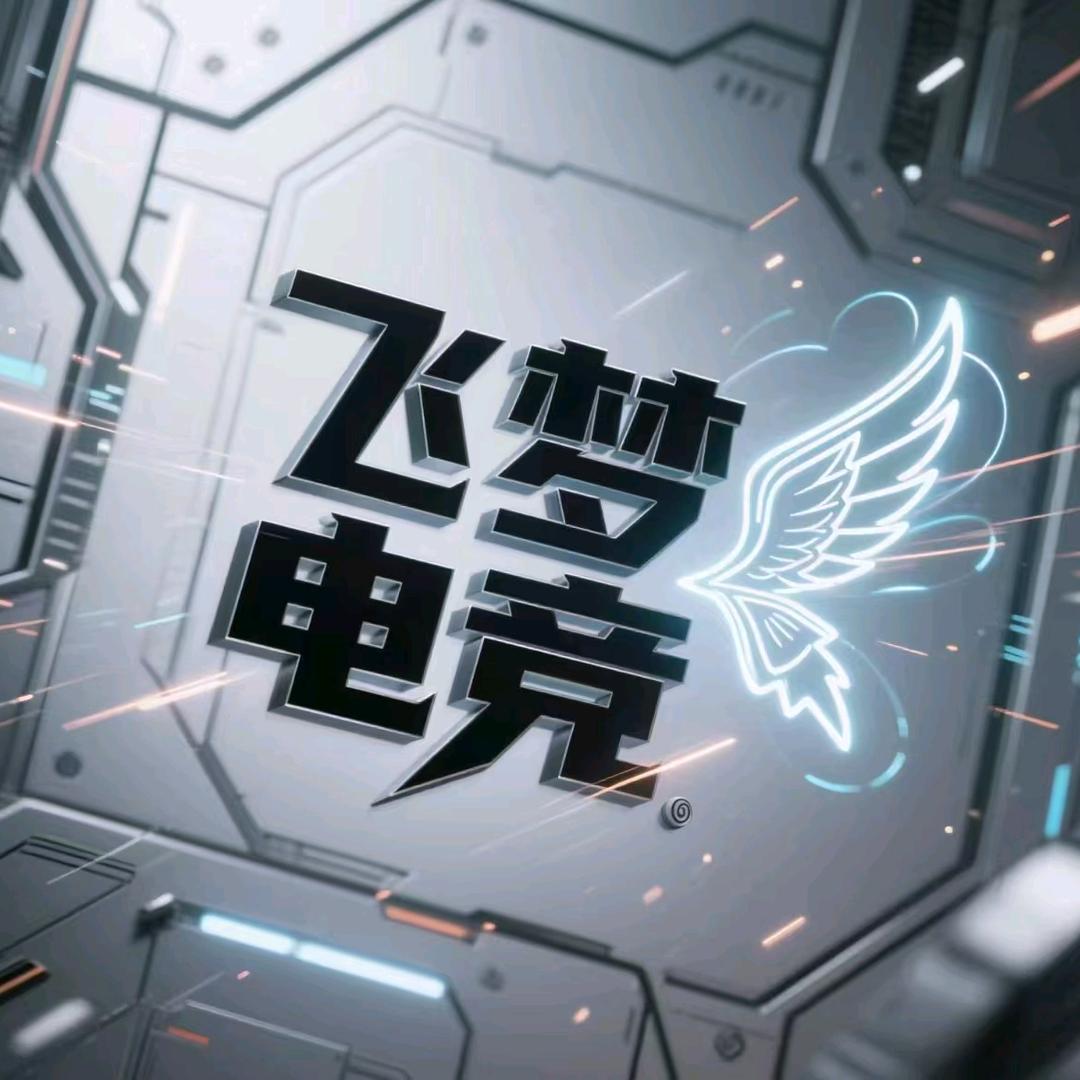 飞梦网咖(下十围店)