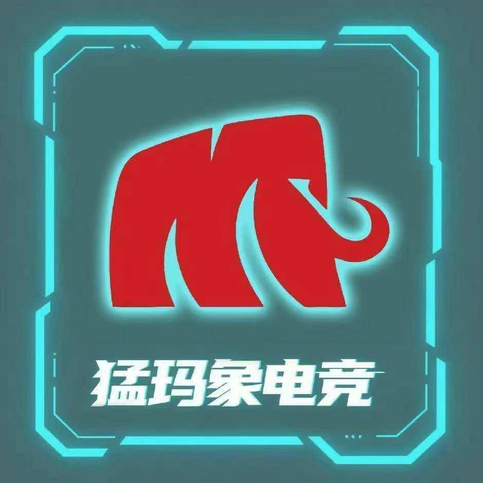 鄂尔多斯猛玛象电竞