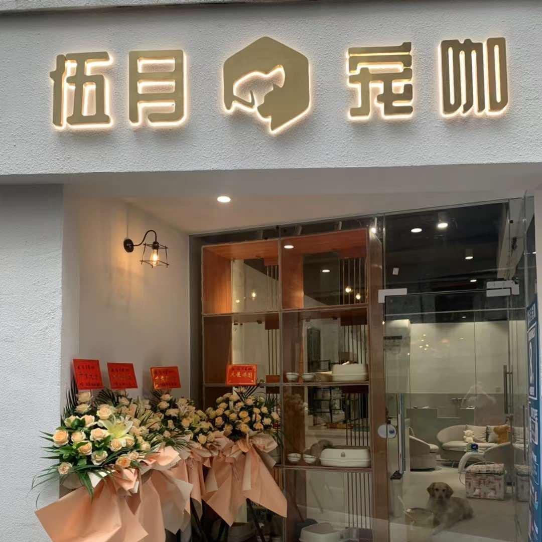 伍月宠咖