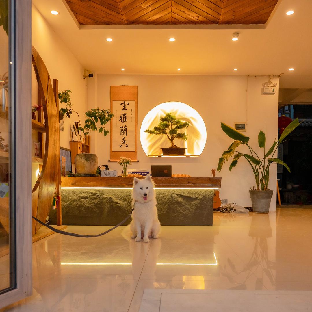 大理市挖色镇悟月小隐客栈