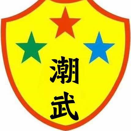 陈店潮武武术馆
